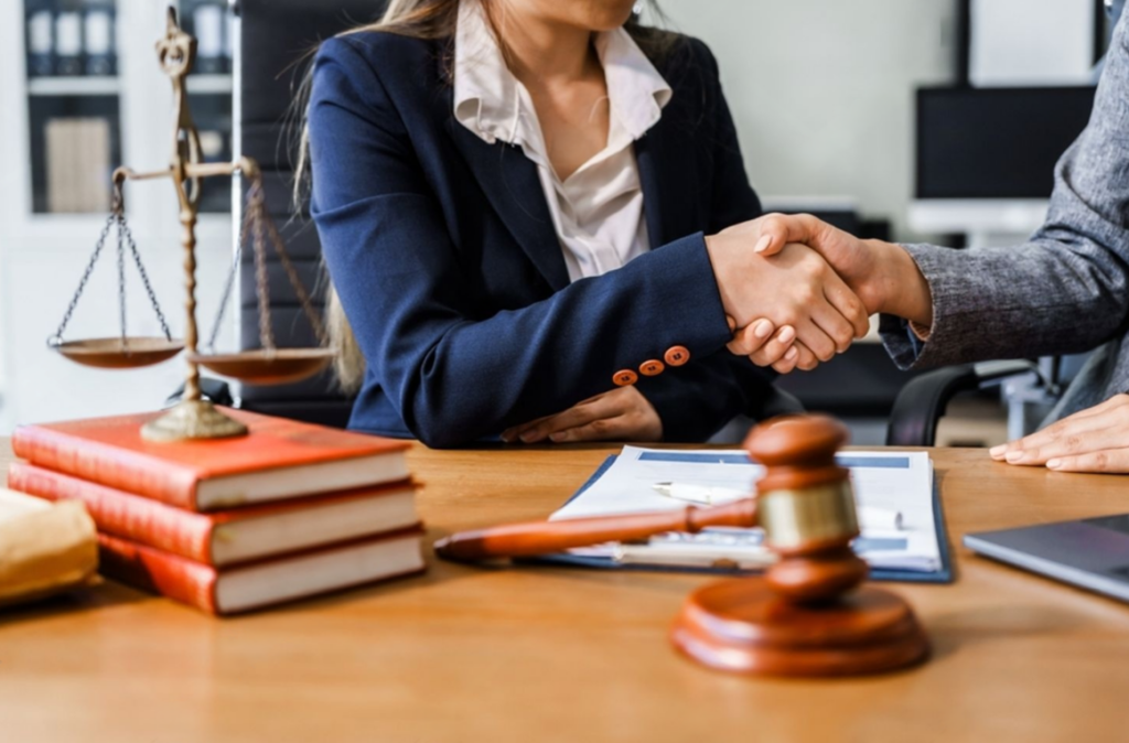 civil litigation & recovery suits, criminal litigation